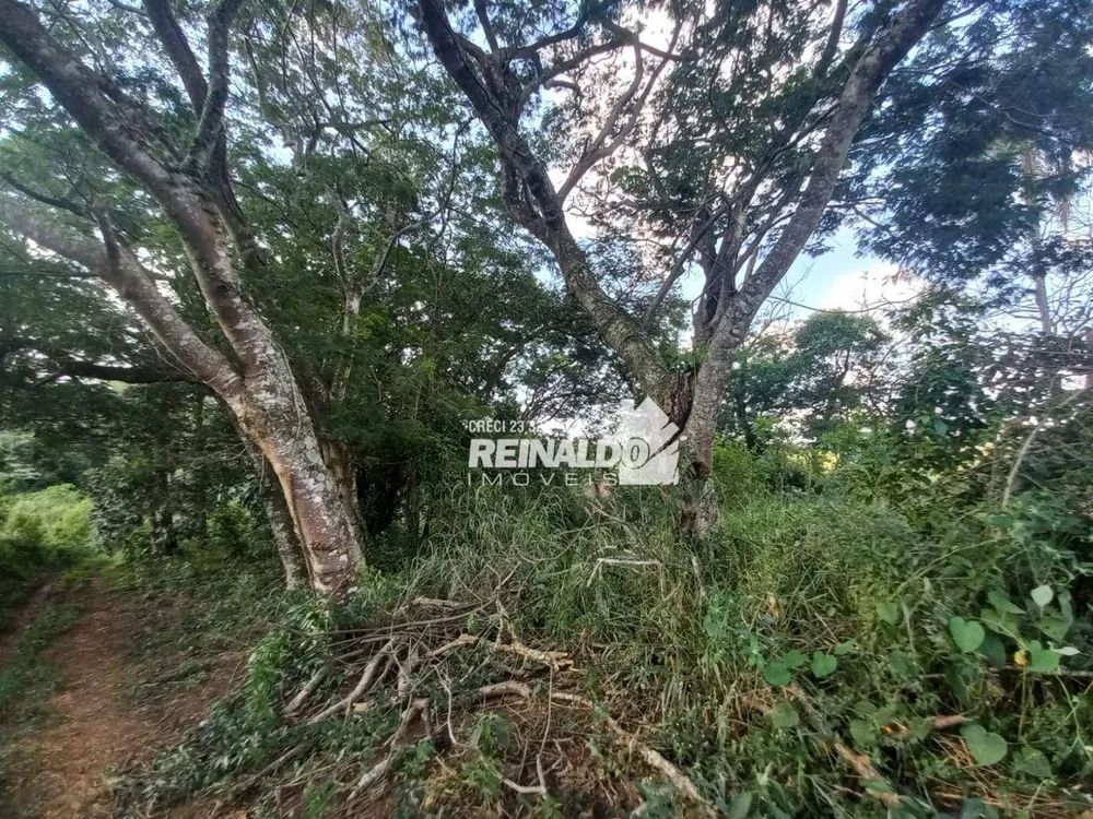 Terreno, 15 hectares - Foto 16