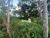 Terreno, 15 hectares - Foto 8