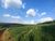 Terreno, 15 hectares - Foto 17