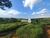 Terreno, 15 hectares - Foto 13