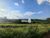 Terreno, 15 hectares - Foto 15