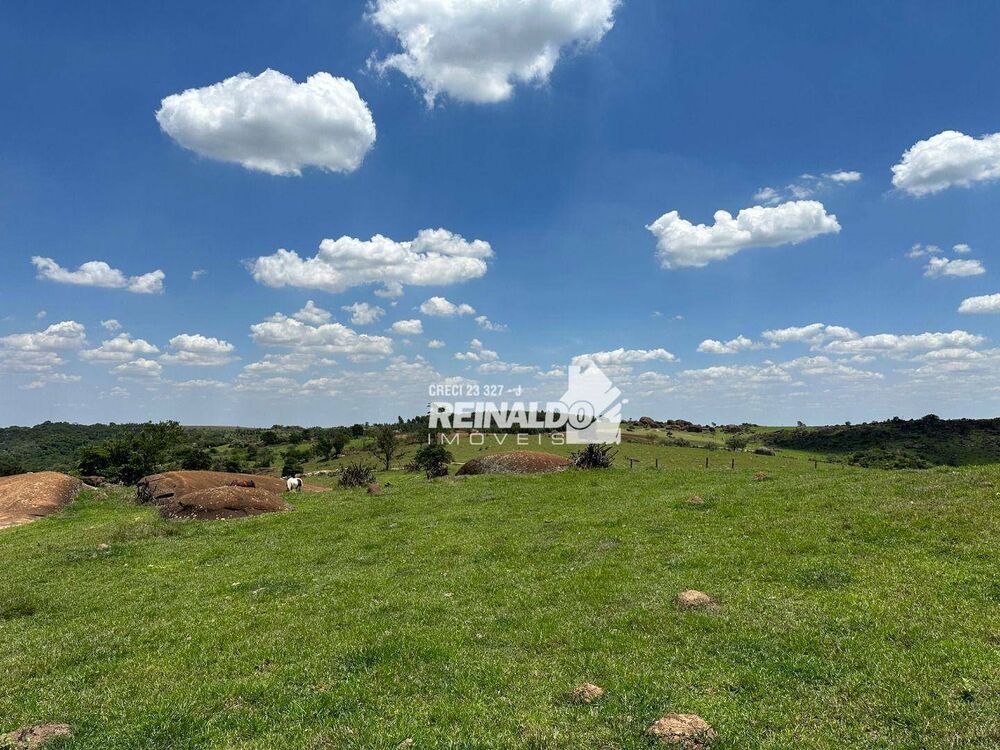 Fazenda, 194 hectares - Foto 13