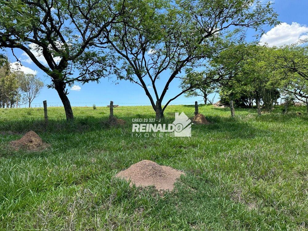 Fazenda, 194 hectares - Foto 18