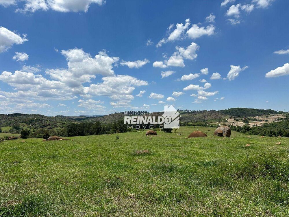 Fazenda, 194 hectares - Foto 12