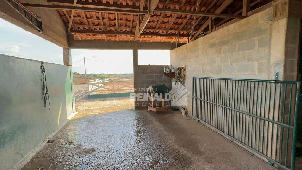 Haras e Área Rural Padrão à venda com 5 quartos, 1000m² - Foto 15