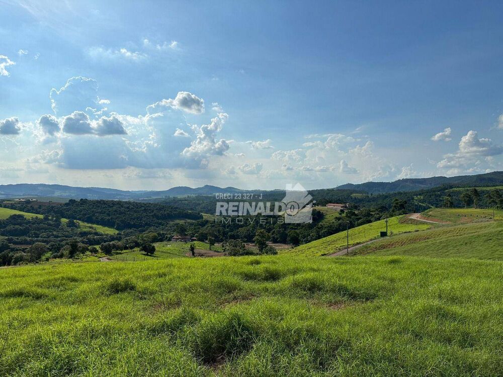 Haras e Área Rural Padrão à venda com 5 quartos, 1000m² - Foto 1