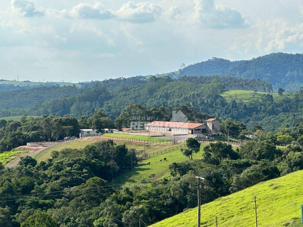 Haras e Área Rural Padrão à venda com 5 quartos, 1000m² - Foto 3