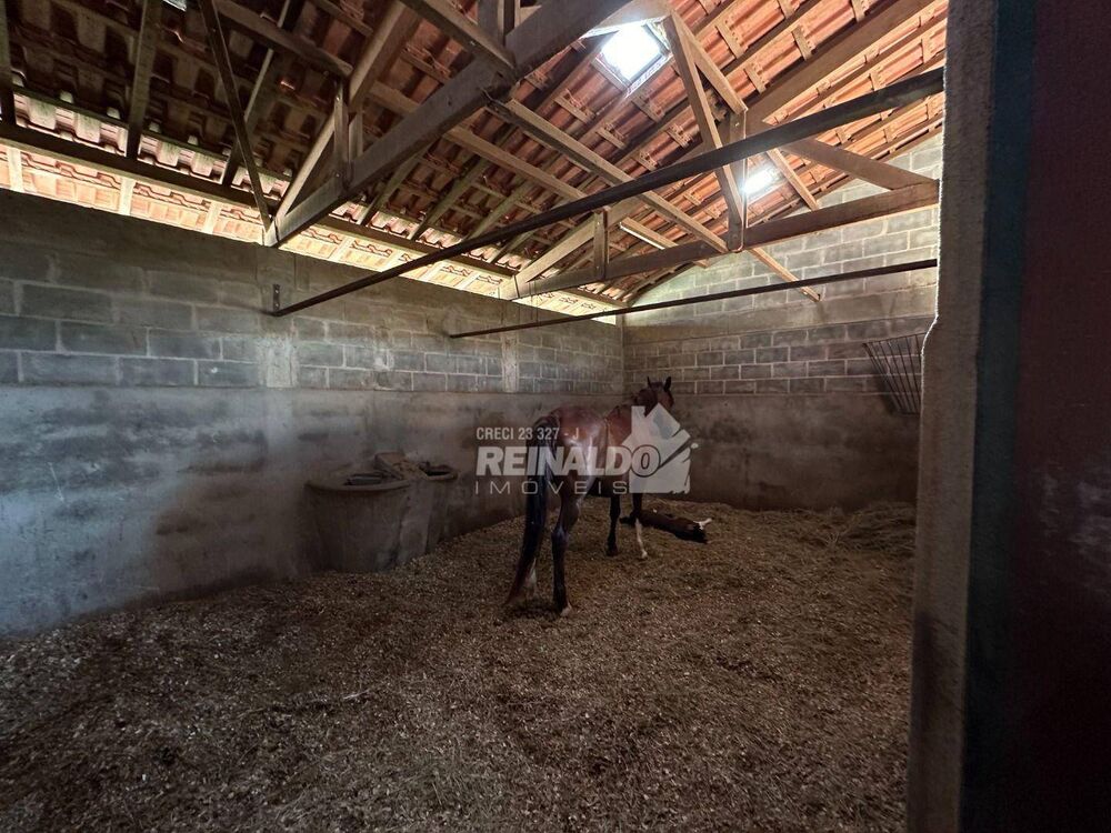 Haras e Área Rural Padrão à venda com 5 quartos, 1000m² - Foto 20