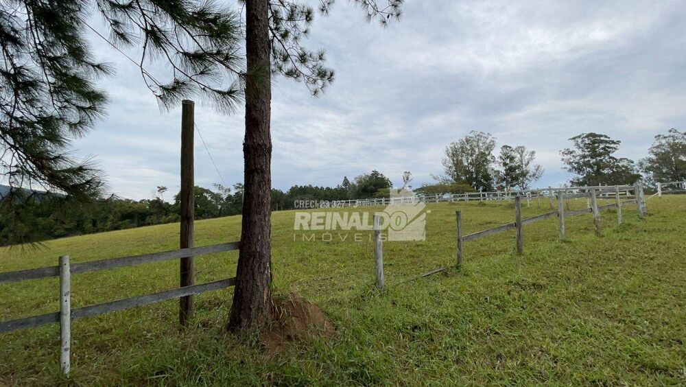 Fazenda, 64 hectares - Foto 19