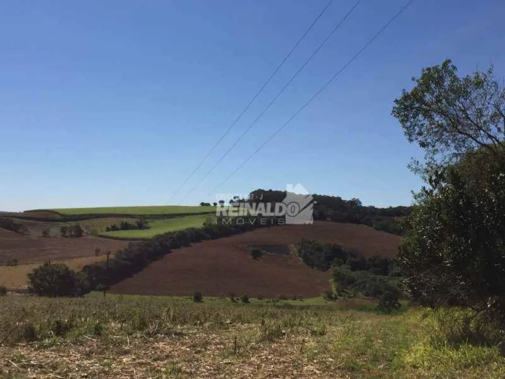 Sítio, 1 quarto, 37 hectares - Foto 7