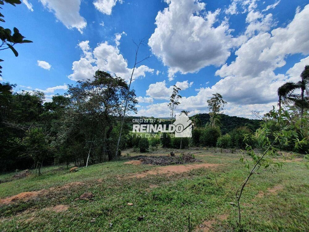 Terreno, 4 hectares - Foto 12