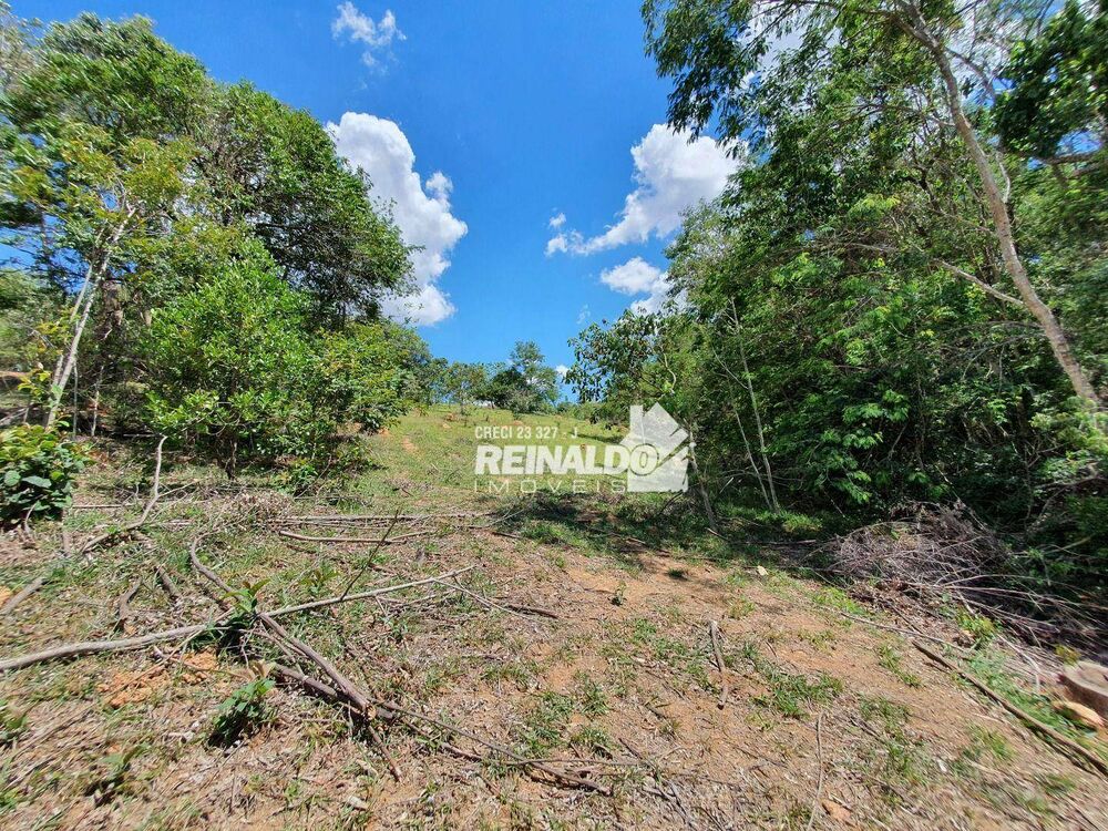 Terreno, 4 hectares - Foto 9
