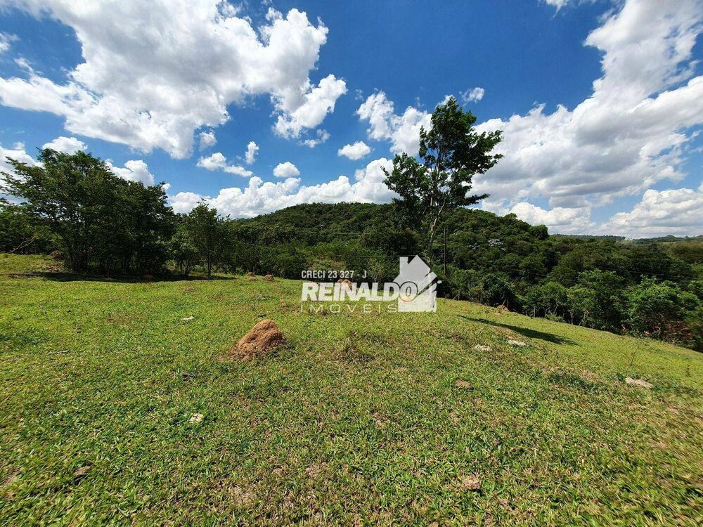 Terreno, 4 hectares - Foto 3