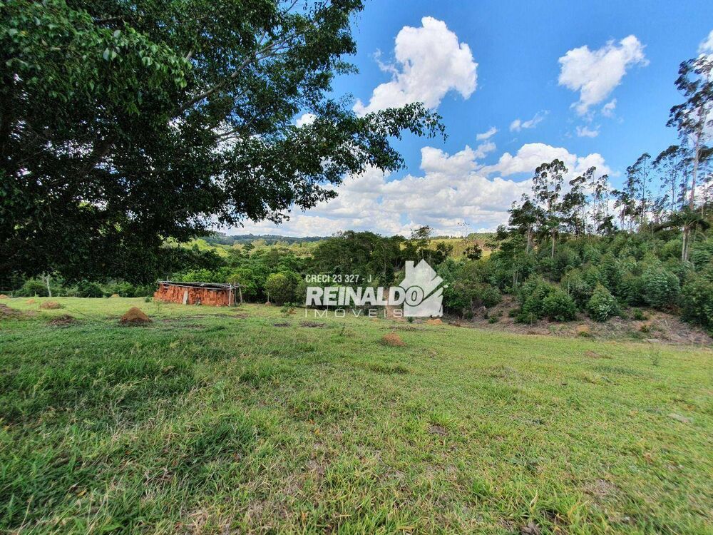 Terreno, 4 hectares - Foto 8