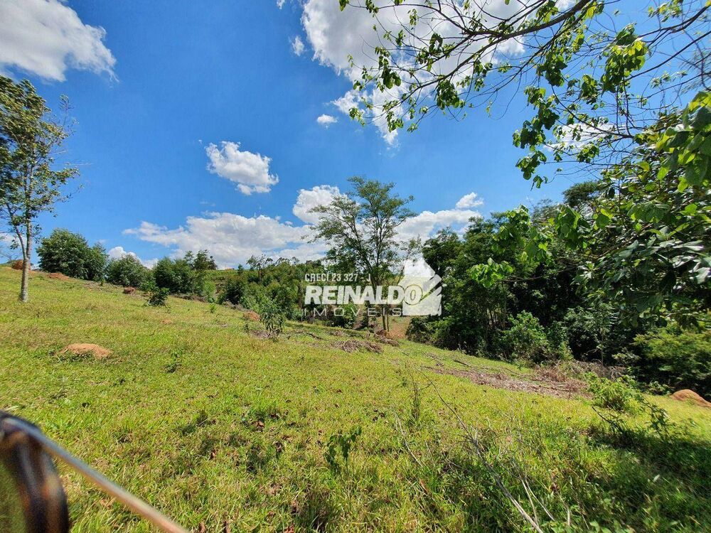 Terreno, 4 hectares - Foto 13