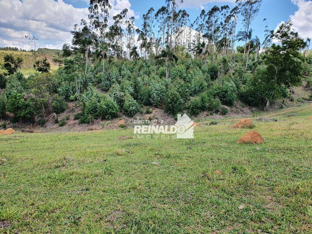 Terreno, 4 hectares - Foto 7