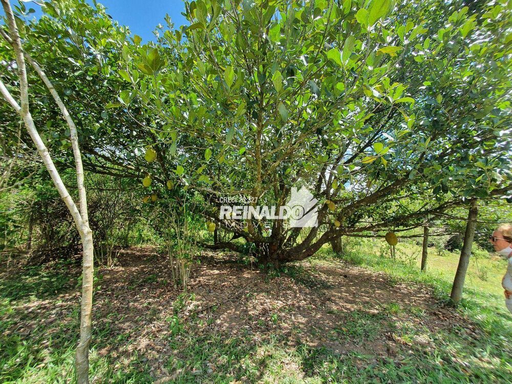 Terreno, 4 hectares - Foto 10