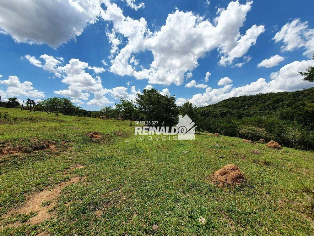 Terreno, 4 hectares - Foto 4