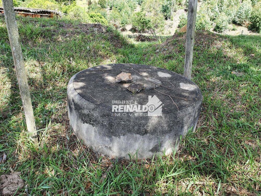 Terreno, 4 hectares - Foto 6