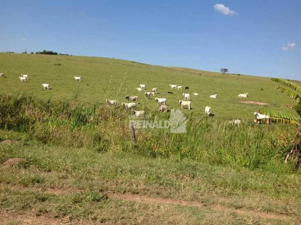 Fazenda, 235 hectares - Foto 1
