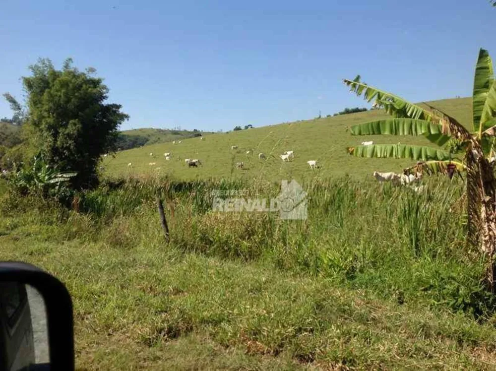 Fazenda, 235 hectares - Foto 5