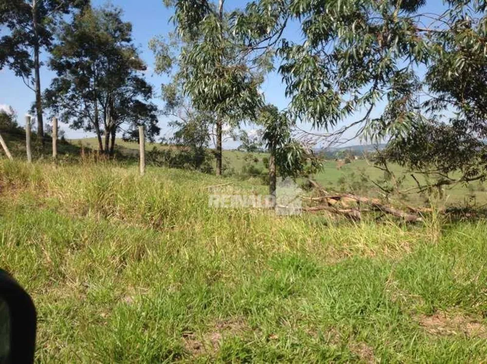 Fazenda, 235 hectares - Foto 10