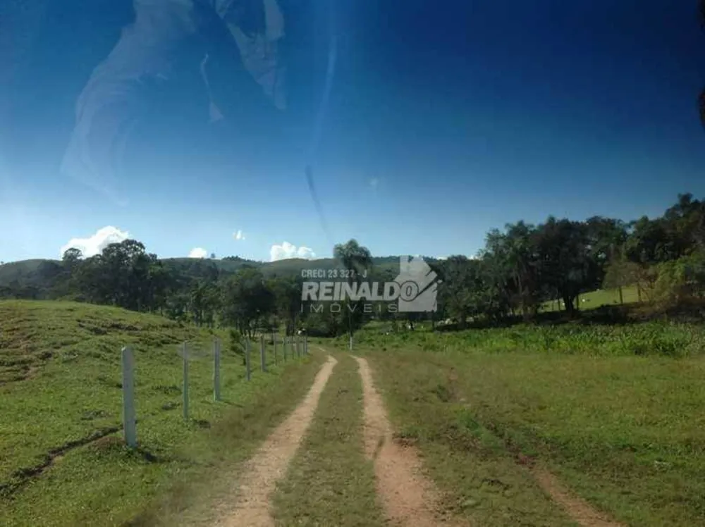 Fazenda, 235 hectares - Foto 4