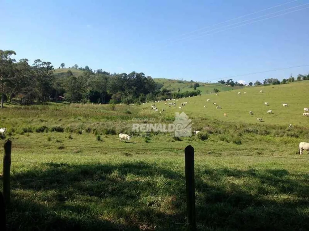 Fazenda, 235 hectares - Foto 6