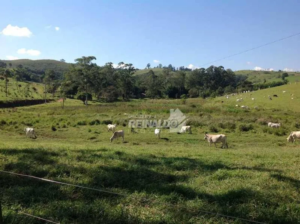 Fazenda, 235 hectares - Foto 8