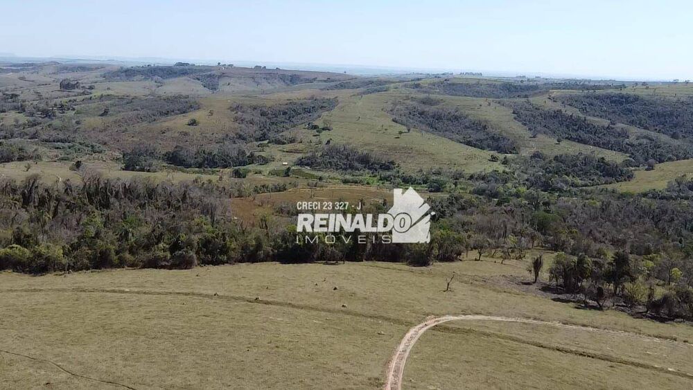 Fazenda, 147 hectares - Foto 16