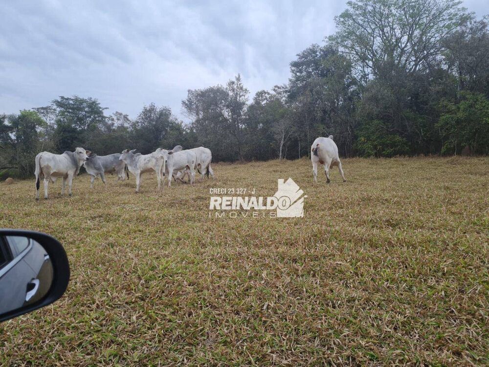 Fazenda, 147 hectares - Foto 9