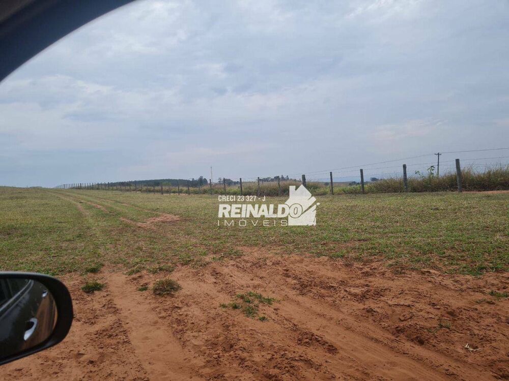 Fazenda, 147 hectares - Foto 7