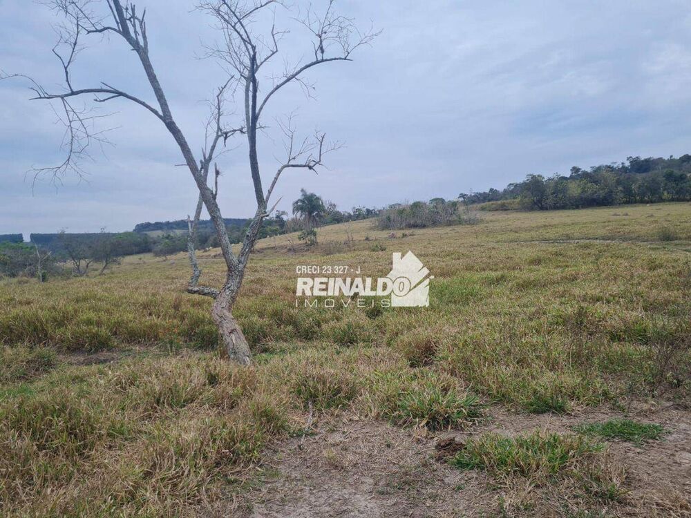 Fazenda, 147 hectares - Foto 6