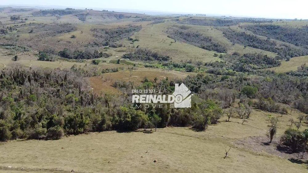 Fazenda, 147 hectares - Foto 21