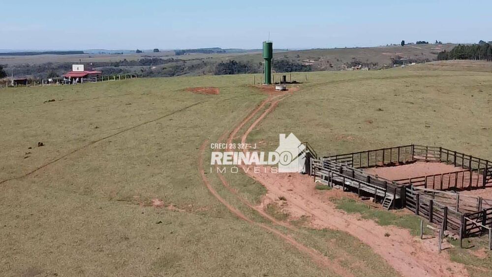 Fazenda, 147 hectares - Foto 1