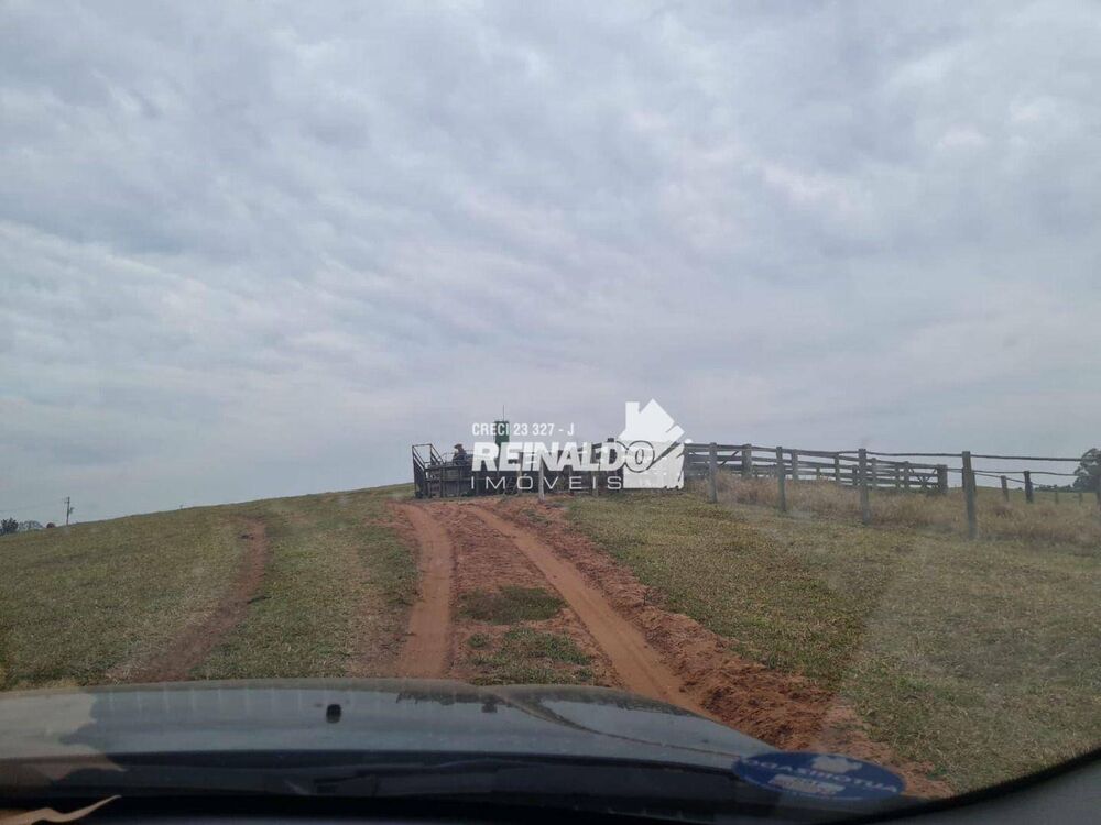 Fazenda, 147 hectares - Foto 4