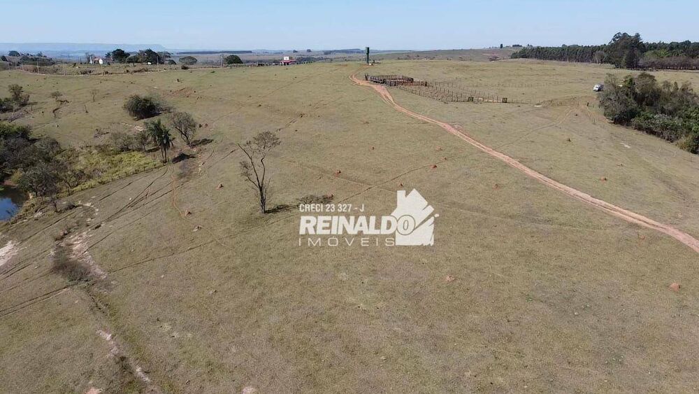 Fazenda, 147 hectares - Foto 15