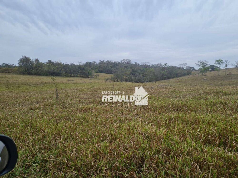 Fazenda, 147 hectares - Foto 11