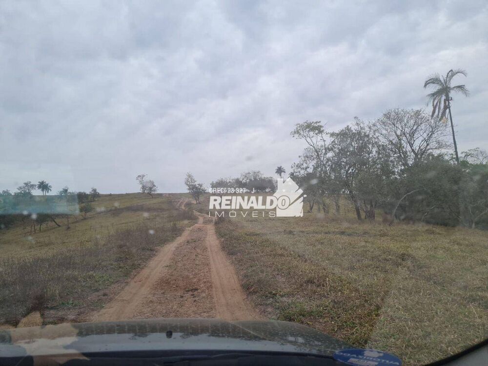 Fazenda, 147 hectares - Foto 5