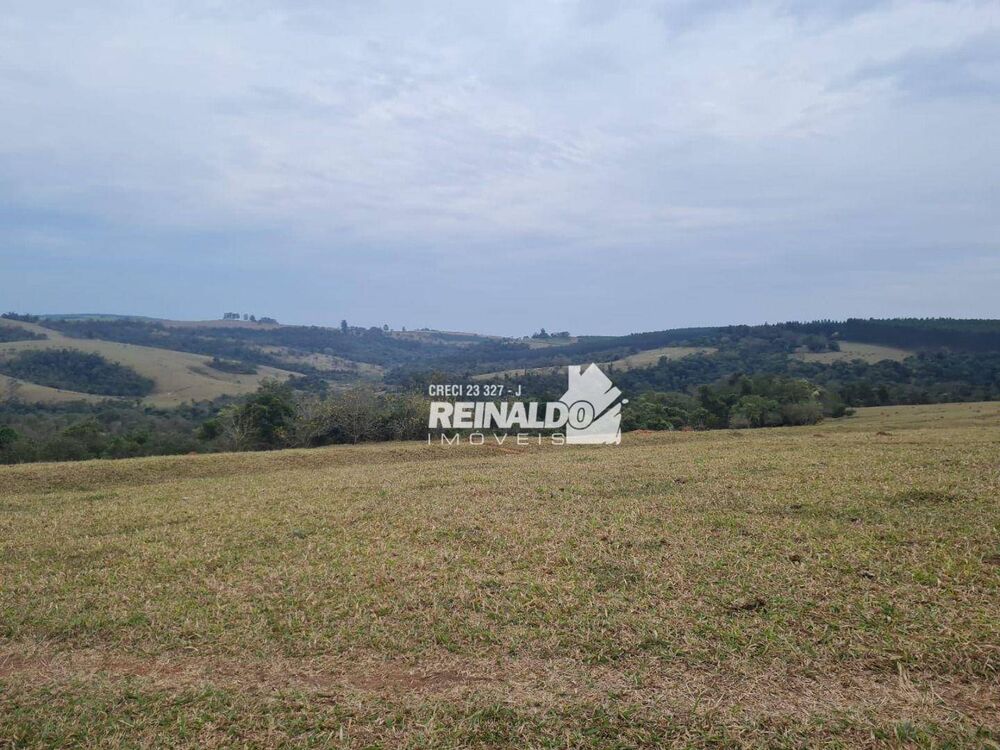 Fazenda, 147 hectares - Foto 10