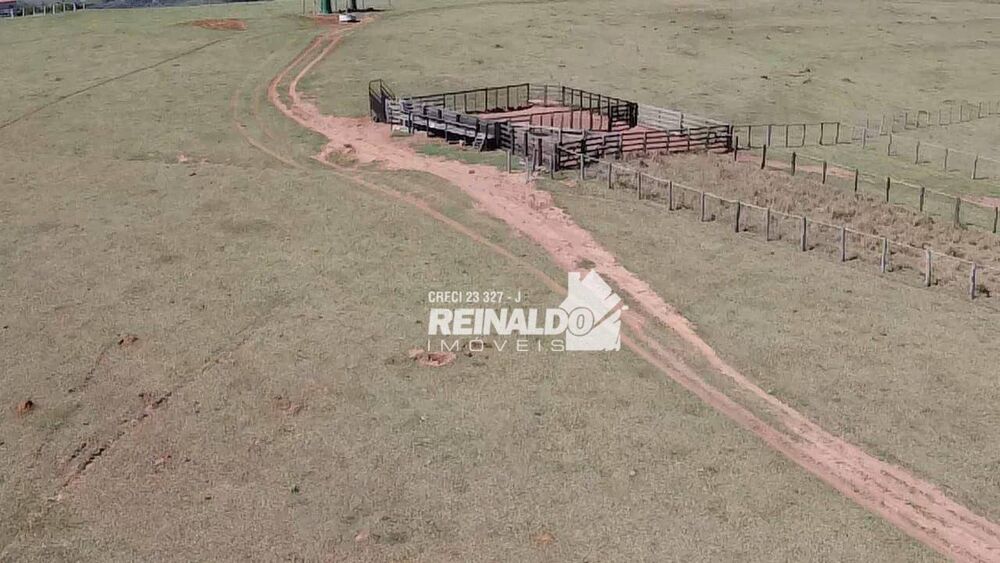 Fazenda, 147 hectares - Foto 18