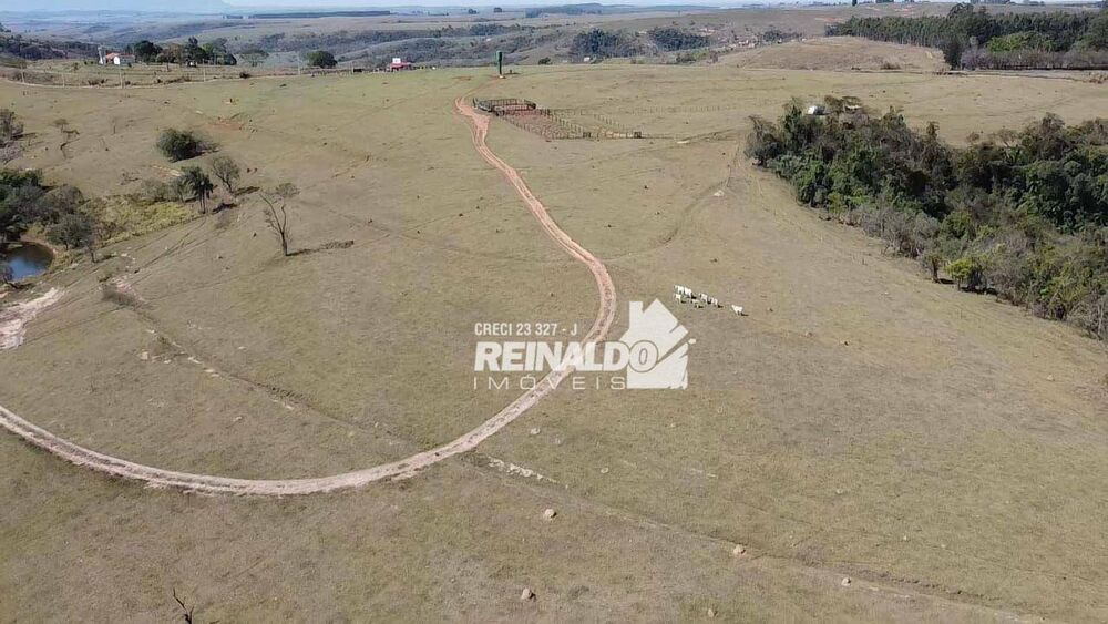 Fazenda, 147 hectares - Foto 17