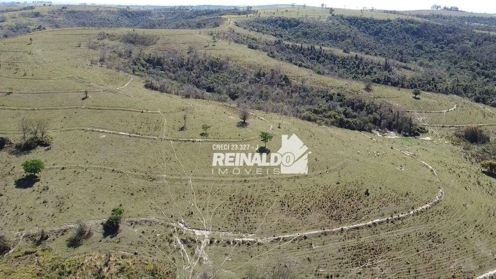 Fazenda, 147 hectares - Foto 13