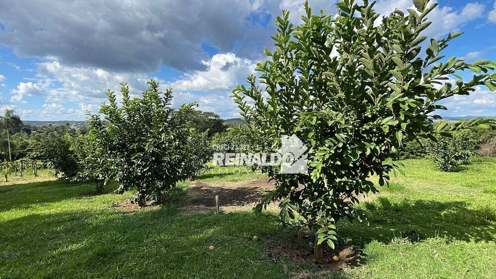 Sítio, 9 quartos, 2 hectares - Foto 36