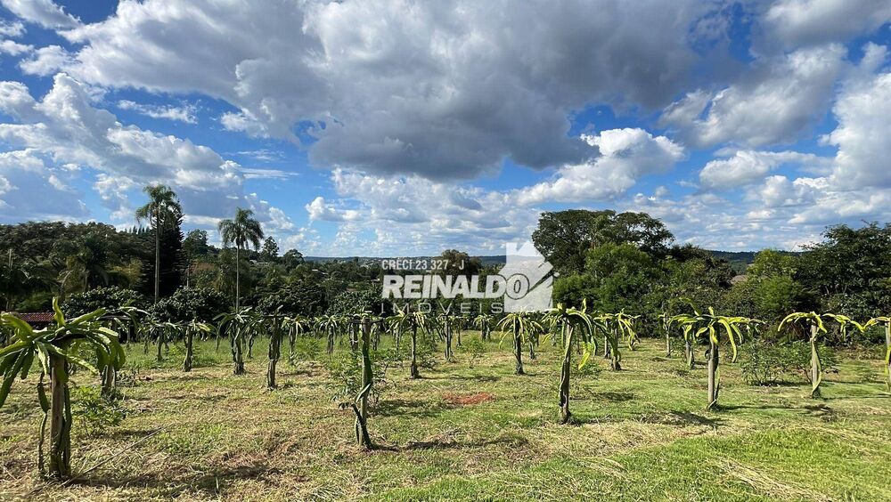 Sítio, 9 quartos, 2 hectares - Foto 37