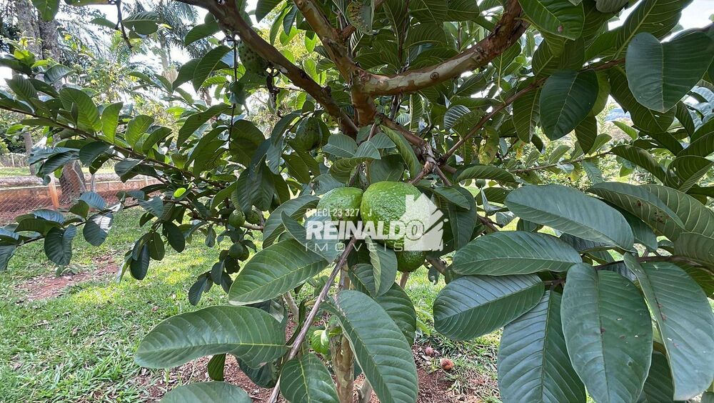 Sítio, 9 quartos, 2 hectares - Foto 35