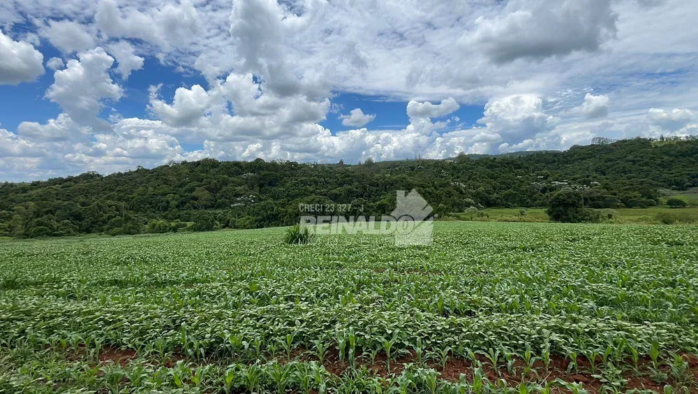 Sítio, 1 quarto, 25 hectares - Foto 26