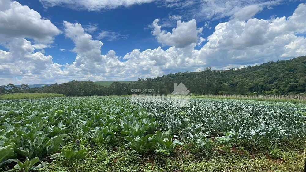 Sítio, 1 quarto, 25 hectares - Foto 23