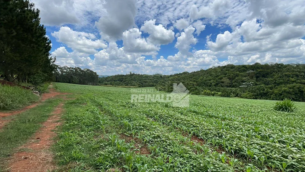 Sítio, 1 quarto, 25 hectares - Foto 27