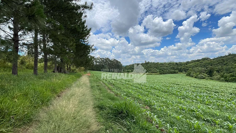Sítio, 1 quarto, 25 hectares - Foto 28